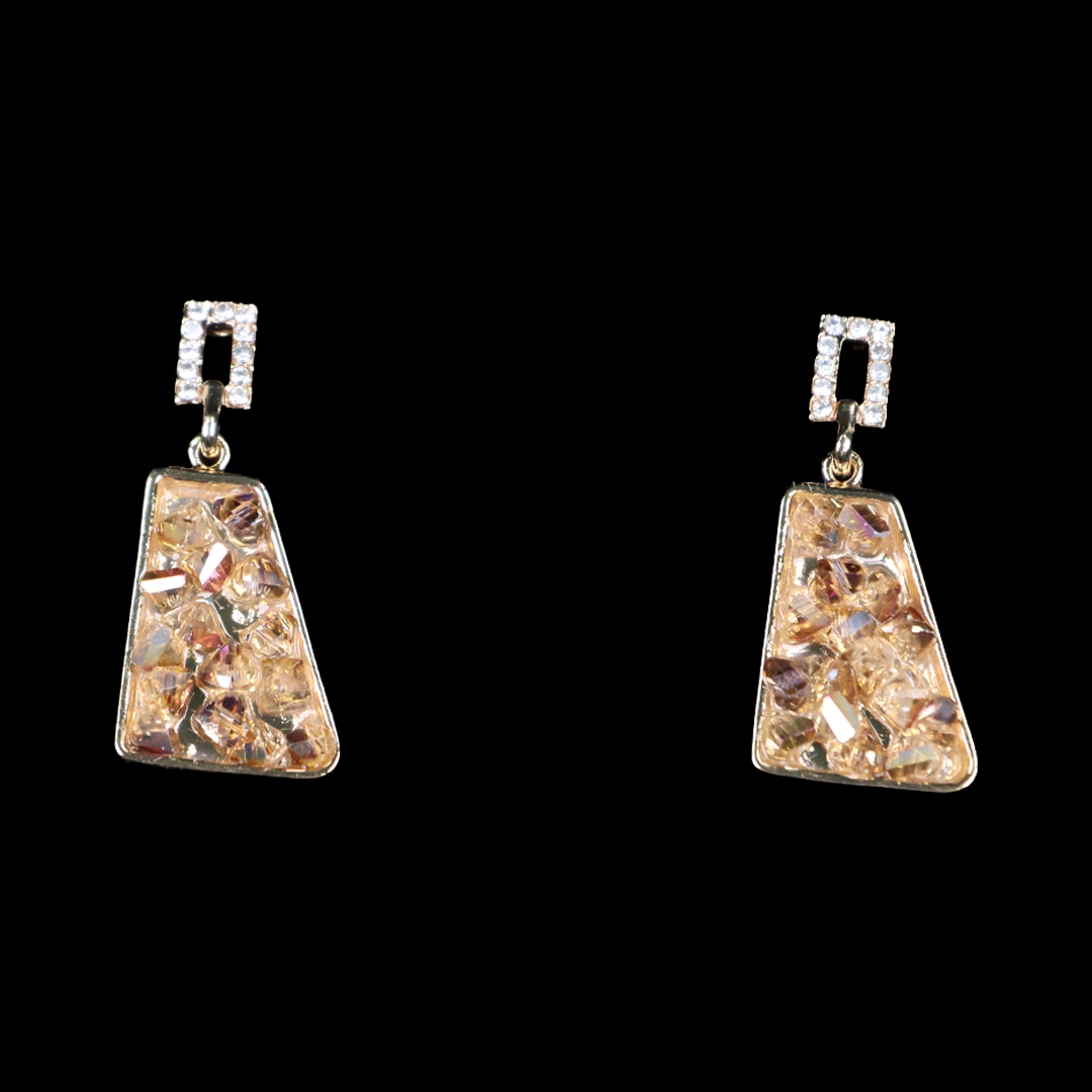 Urban Chic Stylish Eardrop
