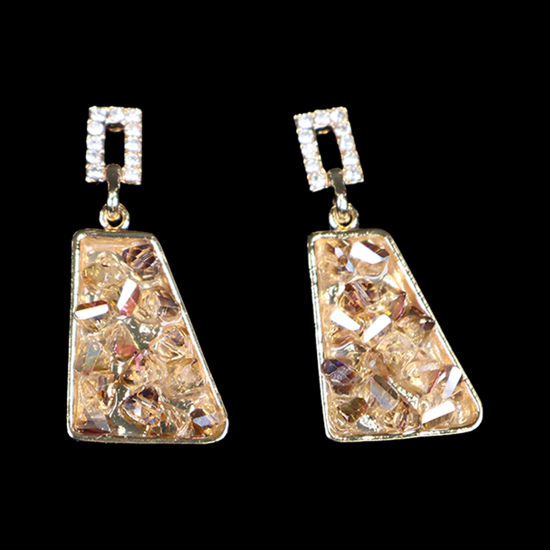 Urban Chic Stylish Eardrop